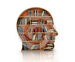 Wood Bookshelf in the Shape of Human Head and books with reflect