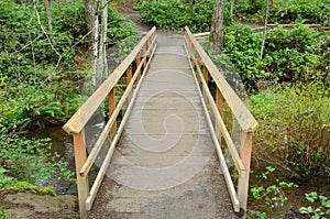 Wood bridge