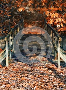 Wood bridge in autumn colors and dreamy atmosphere