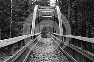 Wood Bridge In Black And White