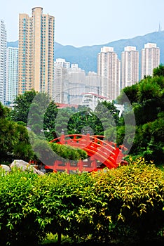 Wood bridge in the chinese garden