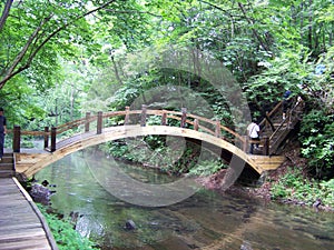 Wood bridge clear creek forest