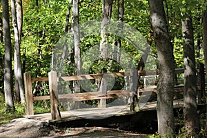 A wood bridge crossing a creek in a forest at Petrifying Springs Park in Kenosha, Wisconsin