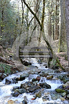 Wood bridge crossing a mountain stream
