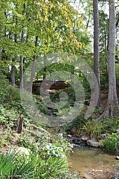 A wood bridge crossing a stream in a forest in Durham, North Carolina