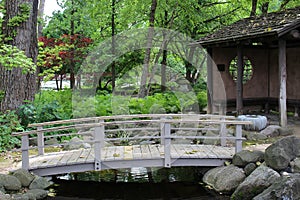 A wood bridge crossing a stream leading to a small pavilion in a Japanese Garden filled with ferns and trees