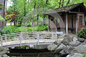 A wood bridge crossing a stream leading to a small pavilion in a Japanese Garden filled with ferns and trees in Wisconsin