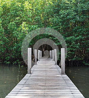 Wood bridge in forest, Chanthaburi,Thailand