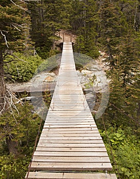 Wood Bridge in Glacier National Park