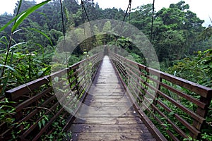 Wood Bridge