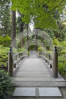 Wood Bridge at Japanese Garden
