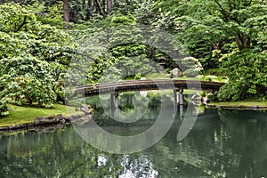 Wood Bridge in Japanese Garden