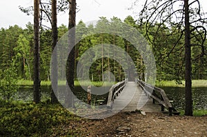 Wood bridge over a lake in nature reservation