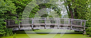 Wood Bridge Over Pond Panorma