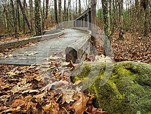 Wood bridge path in the forest