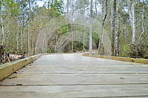 Wood bridge point of view