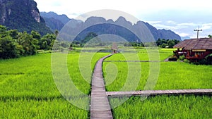 Wood bridge with Rice paddy field on mountain, white cloud and sky background, Beautiful view of Vieng Tara Villa at Vang Vieng