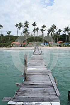 Wood bridge on the sea