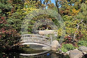A wood bridge spanning a pond surrounded by a variety of trees, evergreens and shrubs in Rockford, Illinois