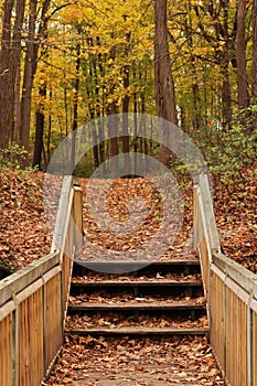 A wood bridge and stairs leading to a path into a forest preserve with fall foliage on the trees and covering the ground