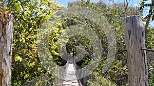 Wood bridge at trail