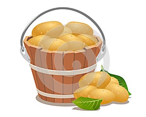 Wood bucket full new potatoes