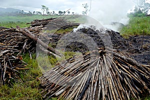 Wood burners in africa with smoke and charcoal