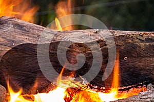 Wood burning in campfire on bricks 2 photo