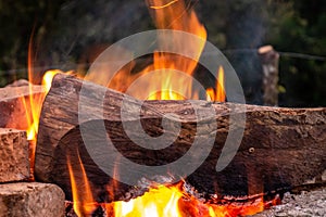 Wood burning in campfire on bricks 3 photo