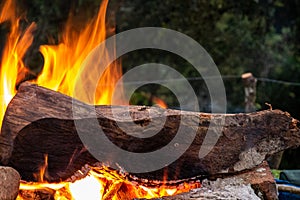 Wood burning in campfire on bricks 1 photo