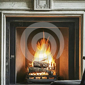 Wood burning in fireplace