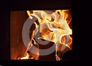 Wood burning in the furnace. Tongue of flame