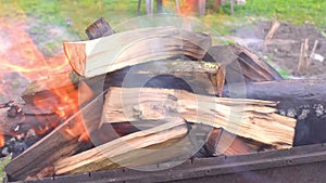 Wood burning in the grill close up