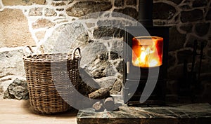 Wood Burning Stove and Fireplace