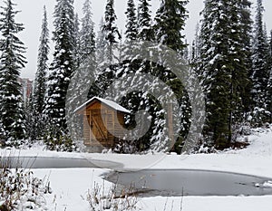 Wood Cabin in Magical Snow Covered Forest