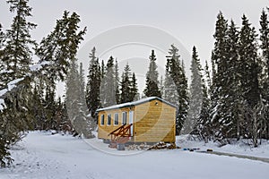 Wood Cabin in Spruce Tree Forest in Winter