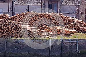 Wood Cargo
