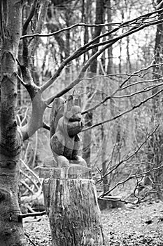 Wood carved squirrel in a forest at an adventure trail