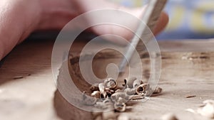 Wood carver processes a oak wood board with a chisel. woodworking process with hand tools in a carpentry workshop. wood carving