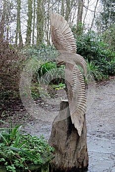 Wood carving of a bird of prey