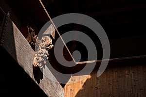 Wood carving on the eaves photo