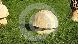 Wood carving of a Mushroom with a chainsaw, hammers and