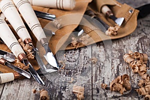 Wood carving tools