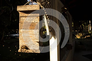 Wood case for honeycomb that is inside it with a lot of bees flying and producing honey in a bright day at a ranch house in braz