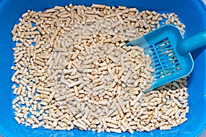 Wood cat litter on a white background. Pets Article about the cat`s toilet and the smell from it. Cat odor neutralizer photo