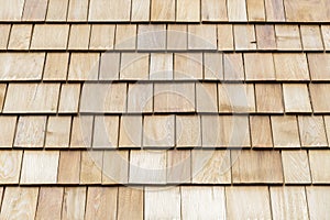 Wood cedar shingles for roof or wall