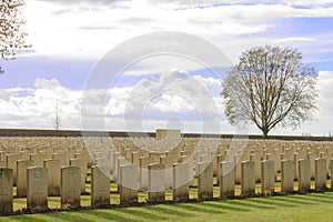 Wood Cemetery great world war one flanders Belgium