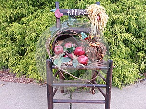 Wood chair decorated for autumn