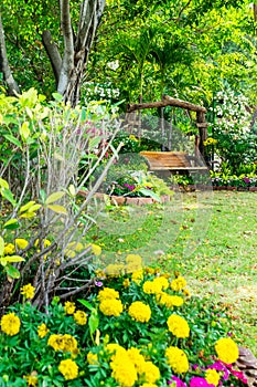 Wood chair in the flowers garden.