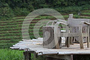 wood Chairs